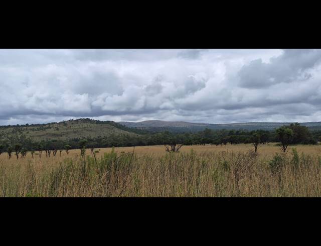 37.90HA FARM FOR SALE IN MODDERFONTEIN AH